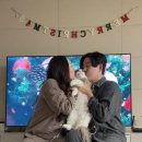 무릎 위의 고양이 무냥 | 무릎 위의 고양이 무냥