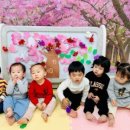 새한어린이집 - 중랑구 | 새한어린이집
