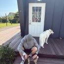 스테이에르바 이미지