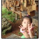 수비보건지소 | 77.[20090726~02] 청태산-수하계곡-오미리