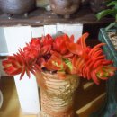 민후농장 이미지