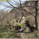 백아산관광목장 이미지