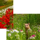 라모스리조트 이미지