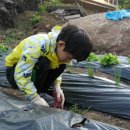 승준농장(3) Daum카페