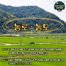 도선장유통 이미지