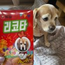 용담한옥 이미지