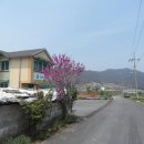 덕치보건진료소 이미지