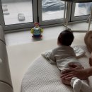 [육아일기] D+31-50일ㅣ밤잠/낮잠 수면교육, 놀이, 50일 촬영