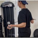 모던핏