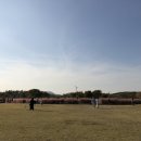 핑크피크닉 이미지