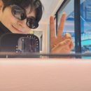 요아시스 이미지