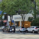 데이뷰의원 | 데이뷰의원(기미색소 치료시술 후기, 데이뷰 시그니처 프리미엄 100일 토닝 후기)