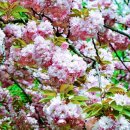 동화구연지도사 1급 자격증 과정 이미지