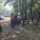 61년생 남 하산중 길잃어버림 이미지