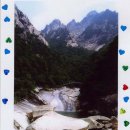 스테이RE Daum카페