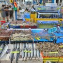 부광상사 이미지