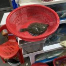 울산초장 이미지