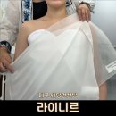 (주)바이오투어컨설팅 | 대구웨딩컨설팅 라이니르 후기｜드레스 선택 전 꼭 알아야 할 꿀팁!