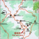 1234피시 이미지