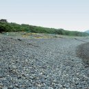 완도 정도리 구계등 이미지