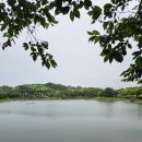 척경비로 | 창녕 여행 숨은 관광지 명덕수변공원 &amp; 진흥왕척경비