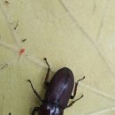 나무랑 풀이랑 이미지