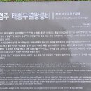 무열왕릉 이미지