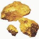 엘도라도 아마존 이미지