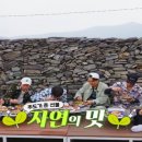 물멍스테이 이미지