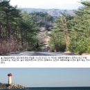 38평화마을 이미지