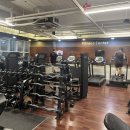 점핑하이 이미지