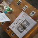 e-안치과의원 이미지