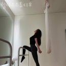 니스스튜디오