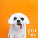 뭉치네 미용실 이미지