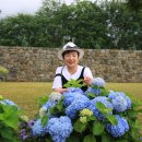현주팜 Daum카페