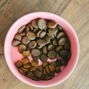 영양-9)영양군 서부리 15-1 | 강아지 눈물·알러지 사료 추천: 미국 1위 곤충사료 '지미니 귀뚜라미' 급여 후기 및 영양 분석