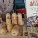 양자농장 이미지