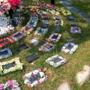 은평목장 이미지