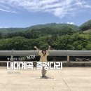 지리산예치출렁다리펜션 | 경남 지리산 산청 계곡 내대계곡 예치마을 출렁다리까지