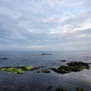 들국화민박 이미지