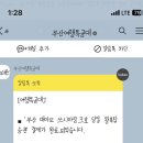 뚜버기들의 대마도 여행기