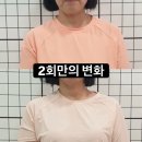 바디밸런스3.0 필라테스 | 충정로필라테스 바디밸런스 후기｜2회 만에 달라진 어깨라인, 진짜 변화