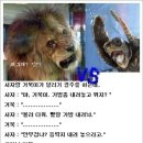 낭 이미지