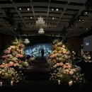 유연프라자 이미지