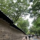 디오민화 | 덕수궁 국립 현대 미술관 전시 일정 및 관람후기
