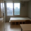 에코미르 이미지