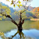 빛 시리즈 이미지