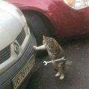 대일바이크 이미지