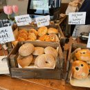 더기베이글(Duggy Bagle)