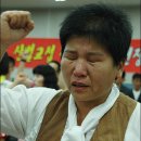 티티알 이미지